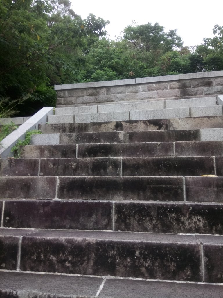 DSC_4448.JPG - 再訪  通宵神社