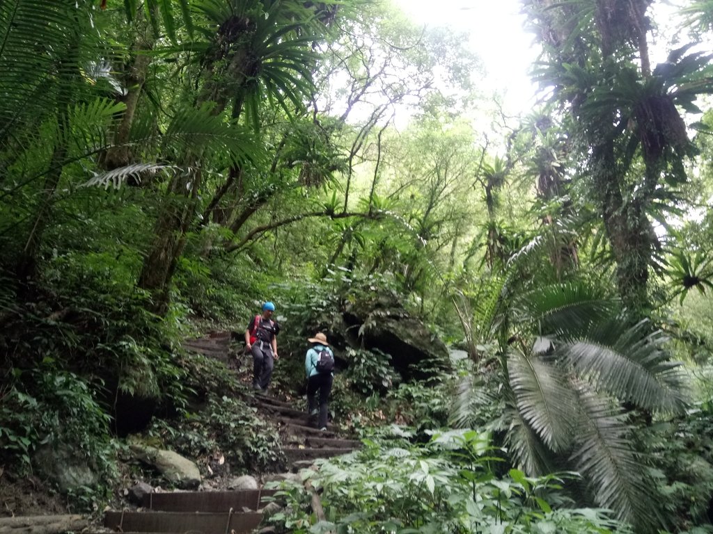 DSC_2795.JPG - 礁溪  聖母登山步道  (抹茶山)