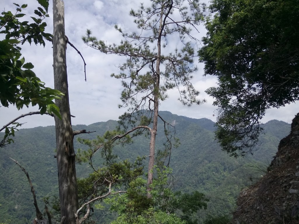 DSC_6465.JPG - 谷關七雄之  波津加山