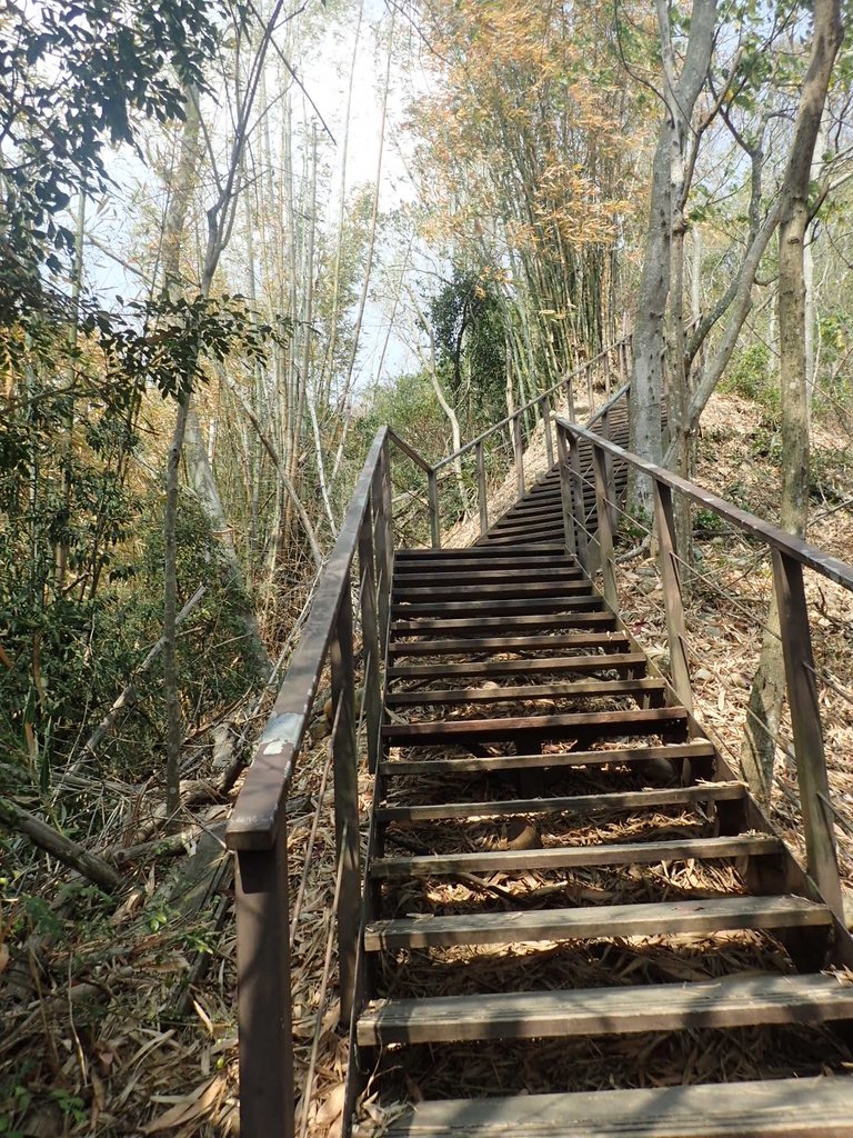 P3016043.JPG - 草屯平林  九九峰森林步道