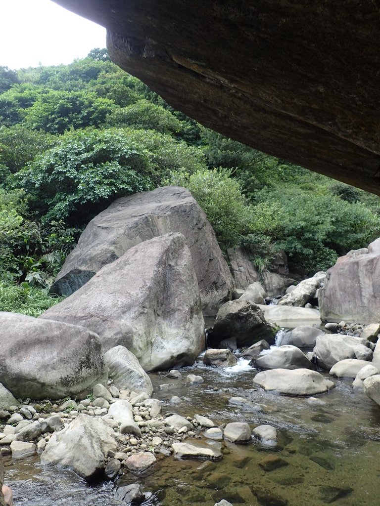 P8317598.JPG - 瑞芳  雷霆岩下之  溪谷風情