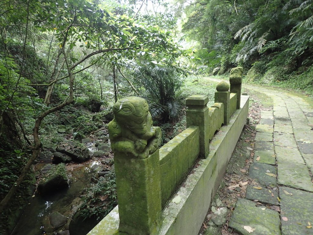 P1294439.JPG - 獅頭山  獅山古道  (01)