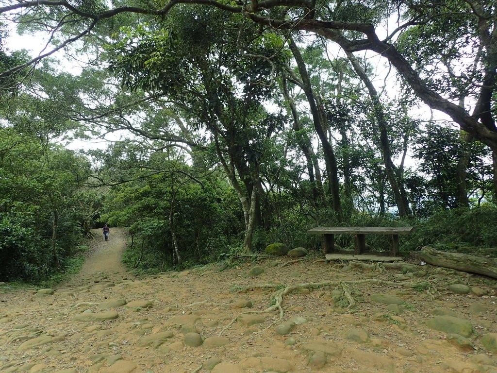 P4272132.JPG - 芎林  飛鳳山  (中坑山)