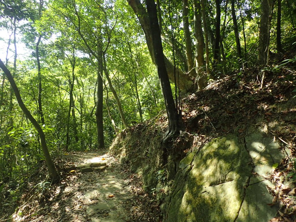 P4161399.JPG - 霧峰  青桐林生態園區