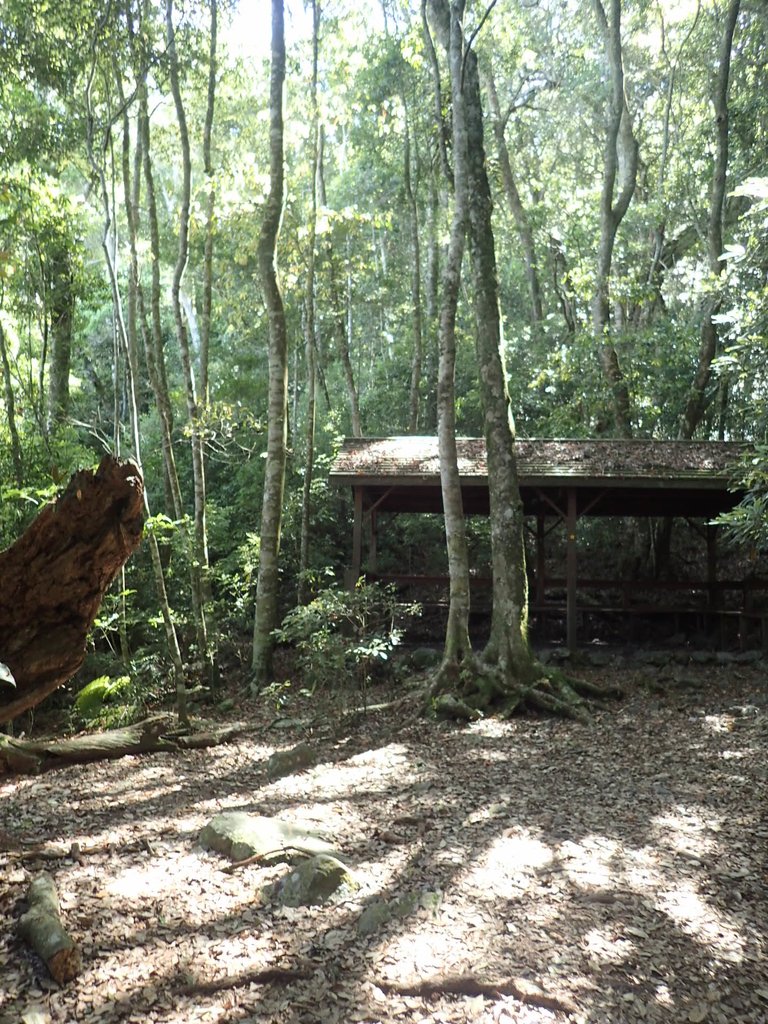 P6054055.JPG - 谷關七雄之  馬崙山  (上)