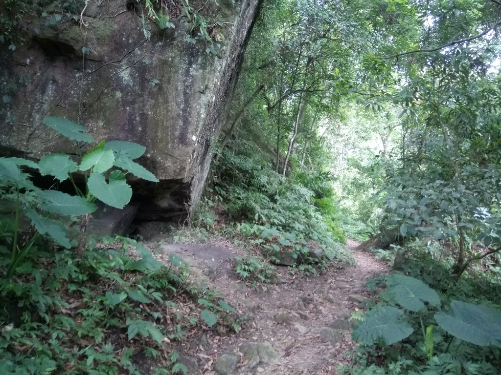 DSC_1057.JPG - 新竹  五指山登山步道