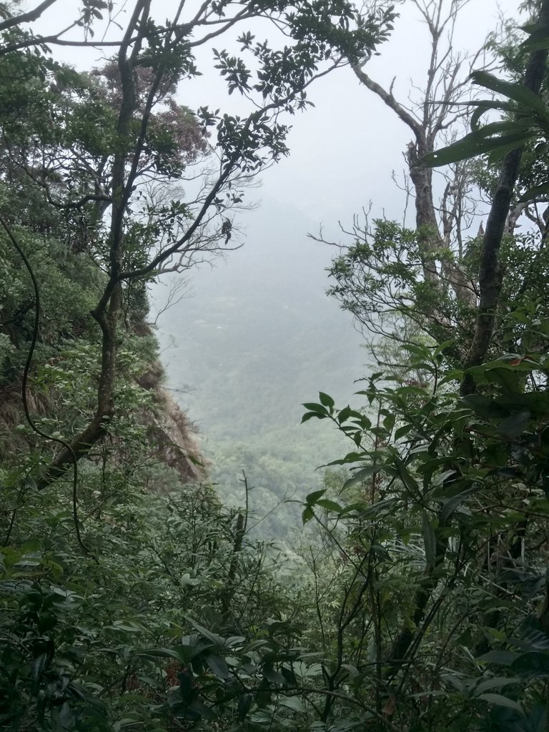 DSC_1038.JPG - 新竹  五指山登山步道