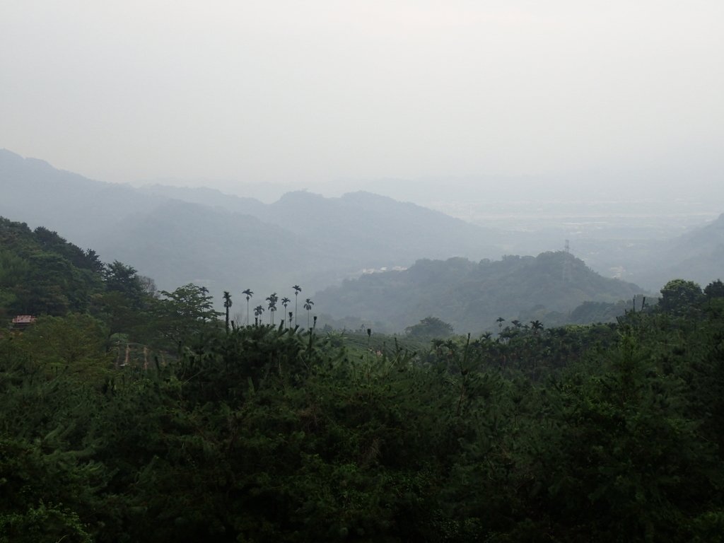 PA171432.JPG - 鹿谷  麒麟潭之  雨中即景