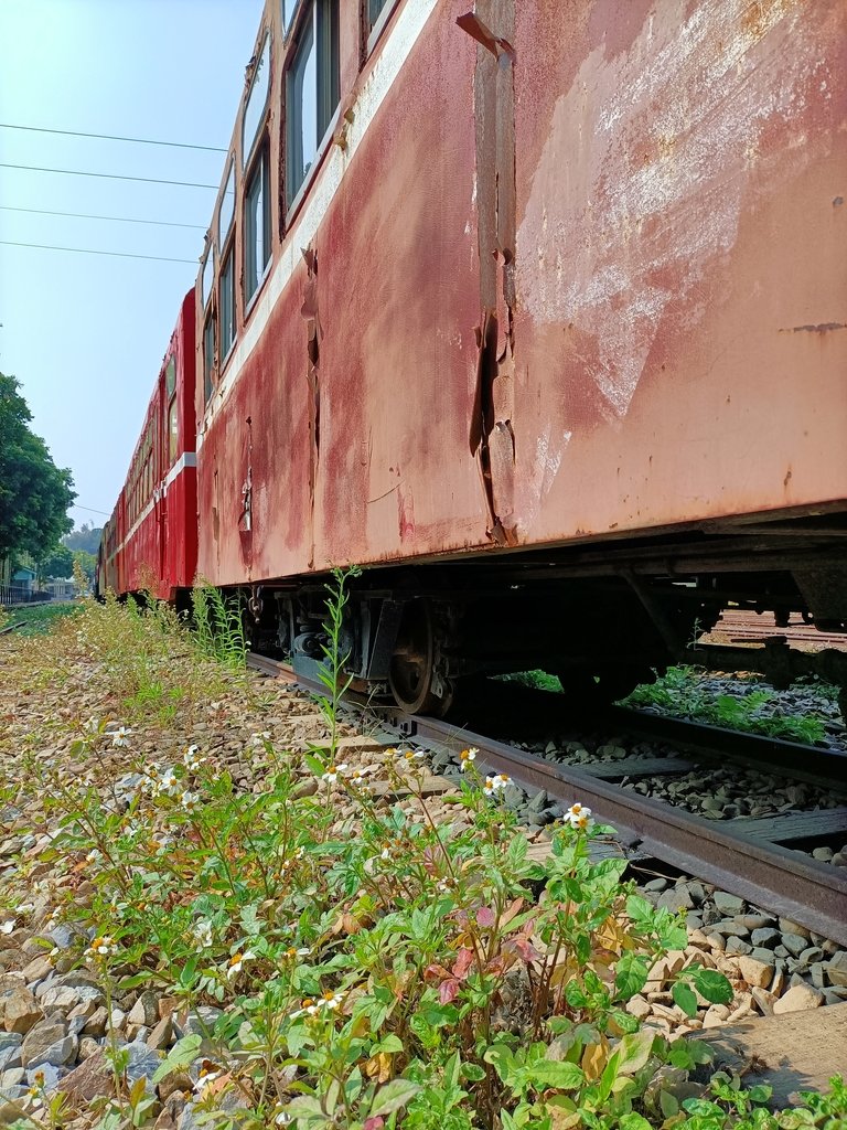 IMG20210130123108.jpg - 漫步---  竹崎車站周邊