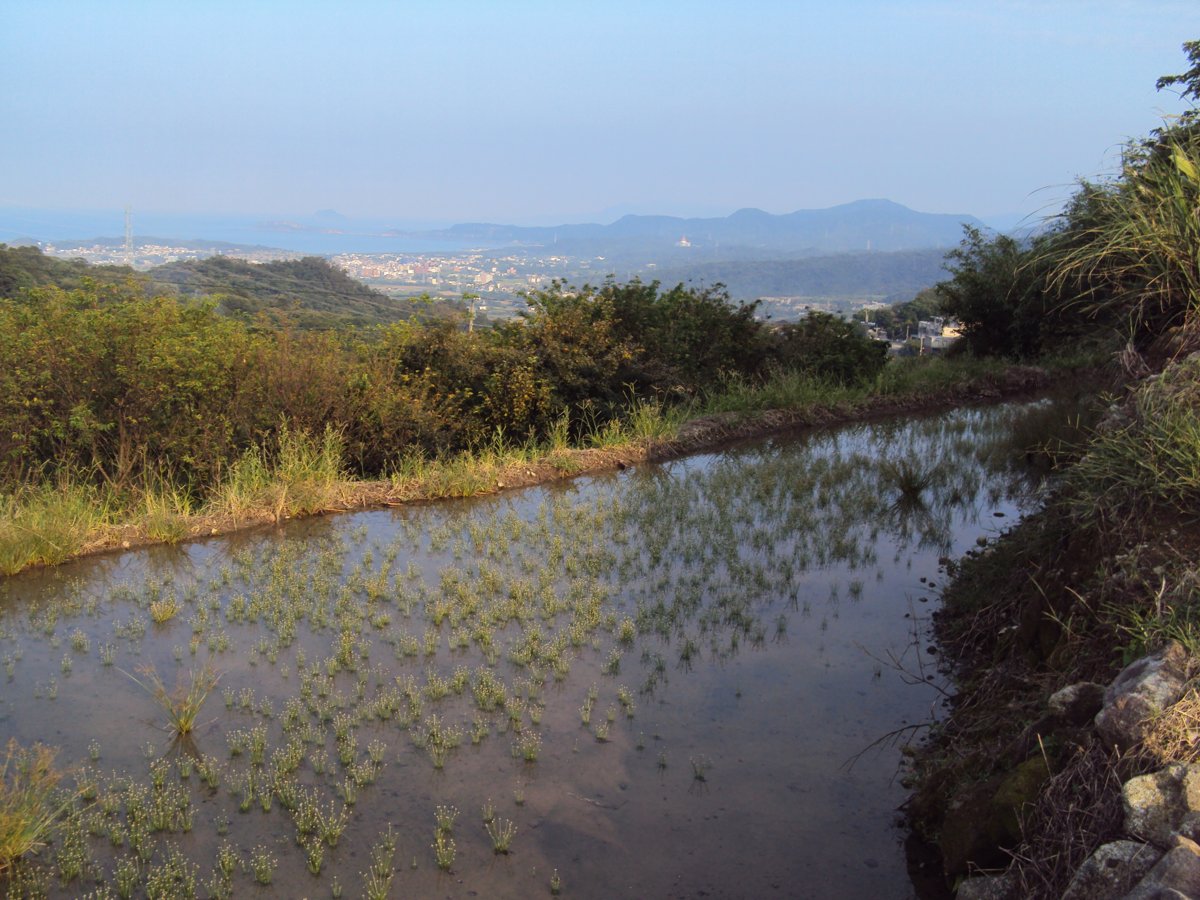 DSC09077.JPG - 金山  葵扇湖田野風光(二) 