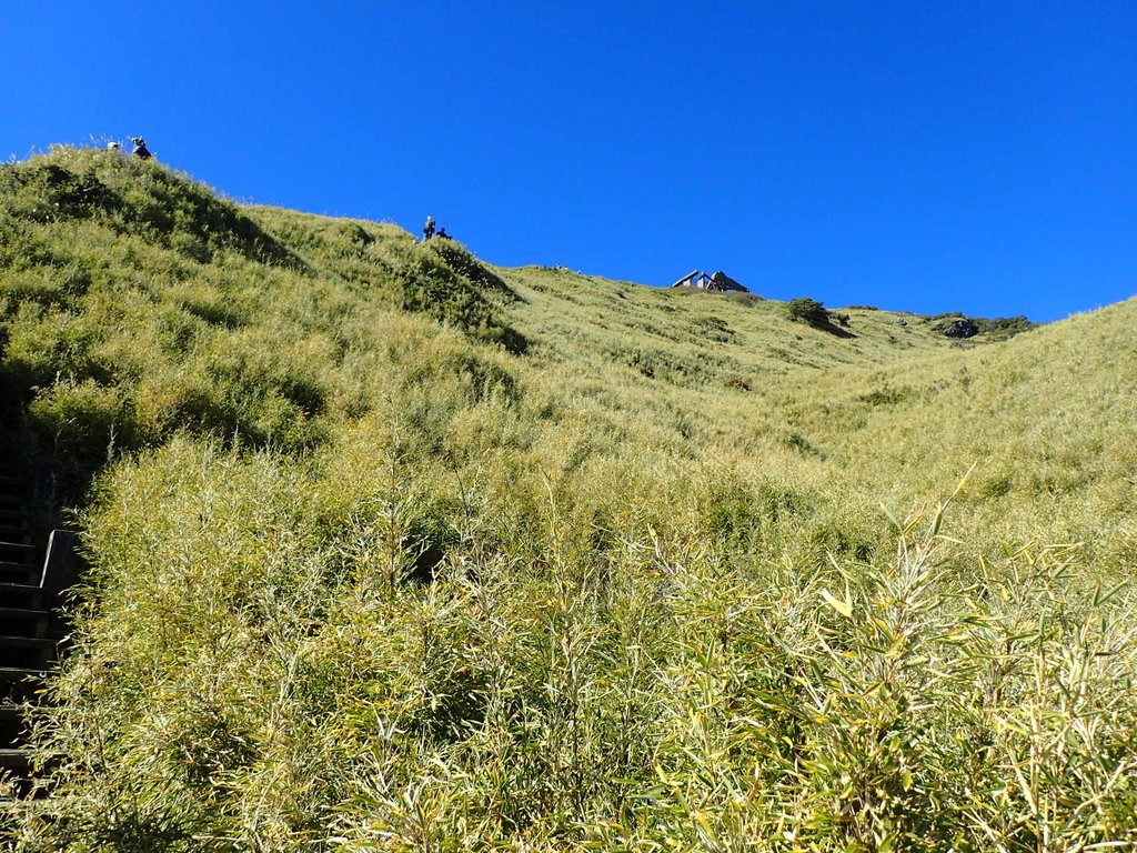 PC132029.JPG - 合歡山  東峰