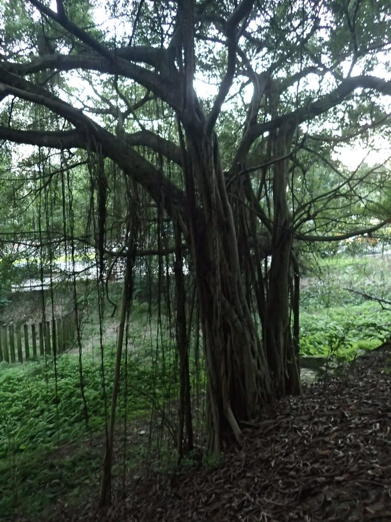 PC018112.JPG - 大直  正願禪寺