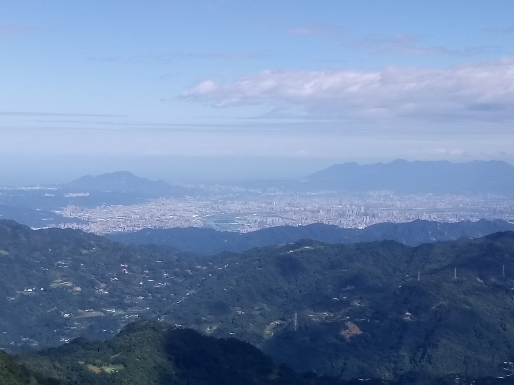 DSC_8970.JPG - 復興  東眼山森林步道