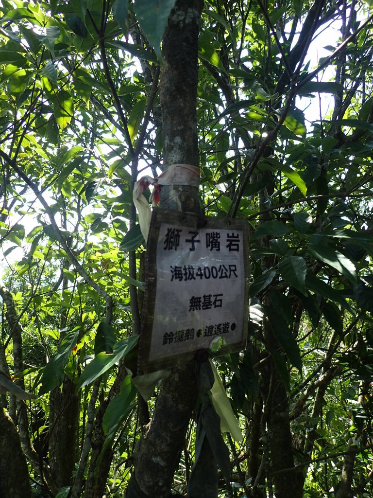 PA285486.JPG - 侯硐  獅子嘴奇岩