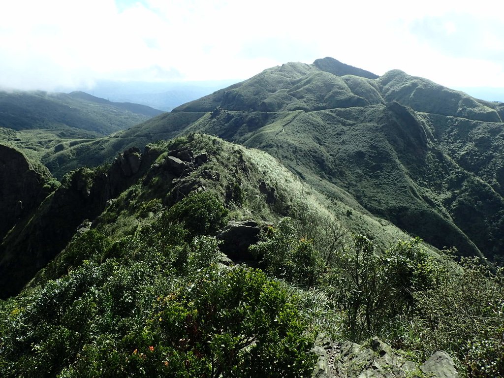 P1102331.JPG - 半坪山  無耳茶壺山