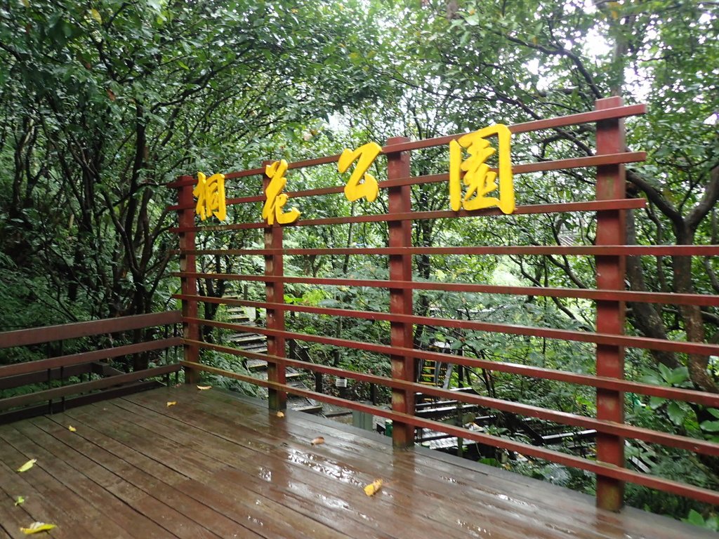 P1062082.JPG - 土城  天上山  登山步道