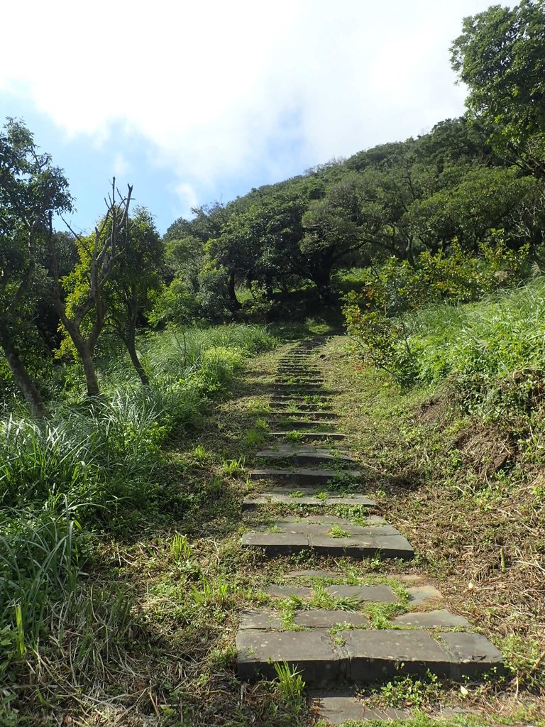 PB247192.JPG - 北投  中正山登山步道  02