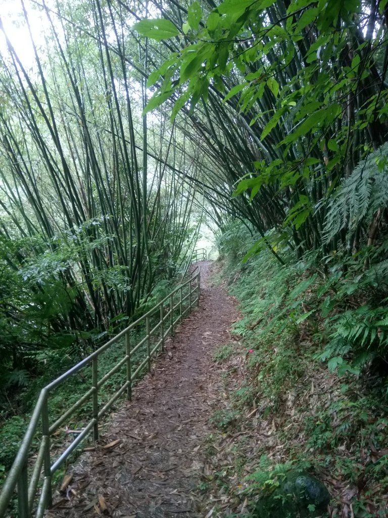 DSC_8455.JPG - 深坑  炮子崙登山步道