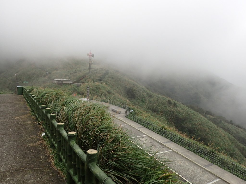 P1203527.JPG - 瑞芳  牡丹山