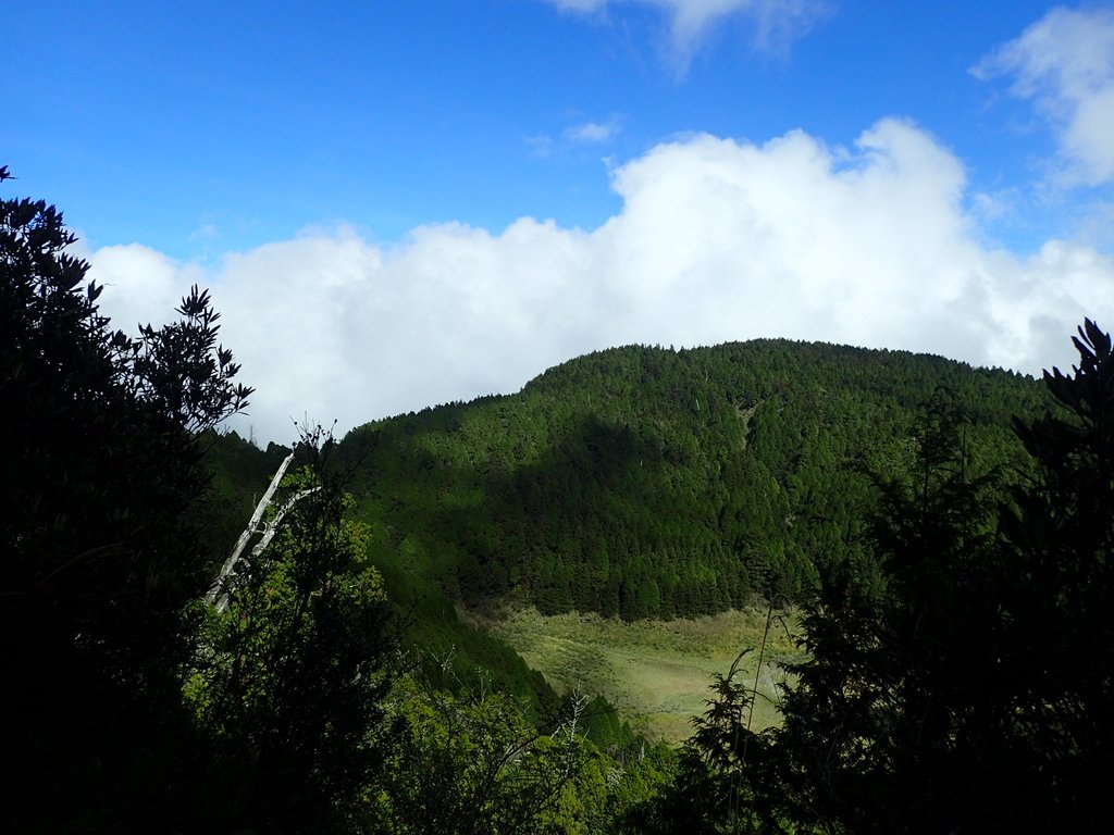 PB265479.JPG - 太平山  翠峰湖環山步道  02