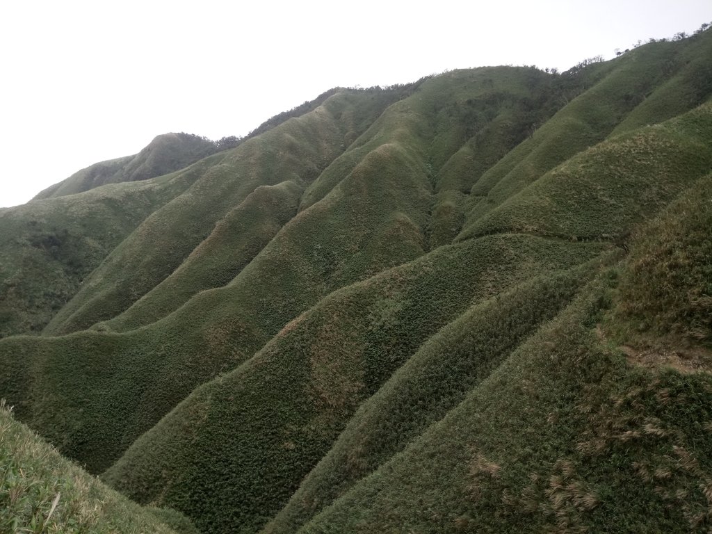 DSC_2812.JPG - 礁溪  聖母登山步道  (抹茶山)