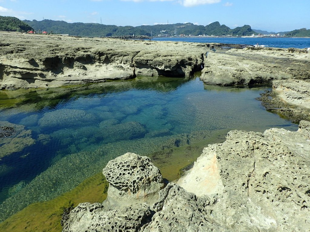 PA115051.JPG - 東北角海岸岩石之美  (03)