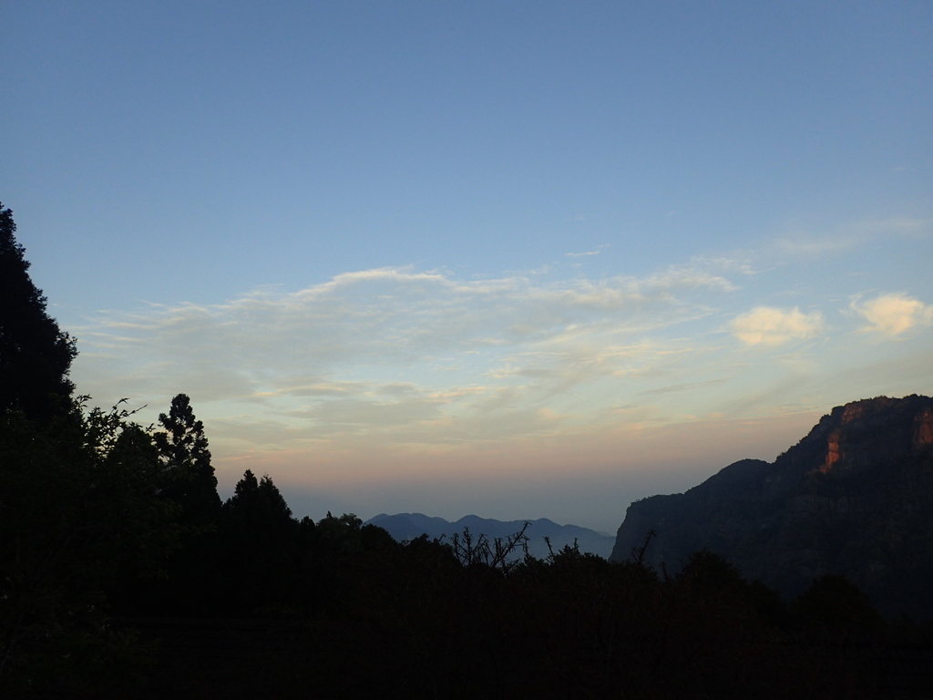 P3268021.JPG - 阿里山  沼平公園  賞櫻