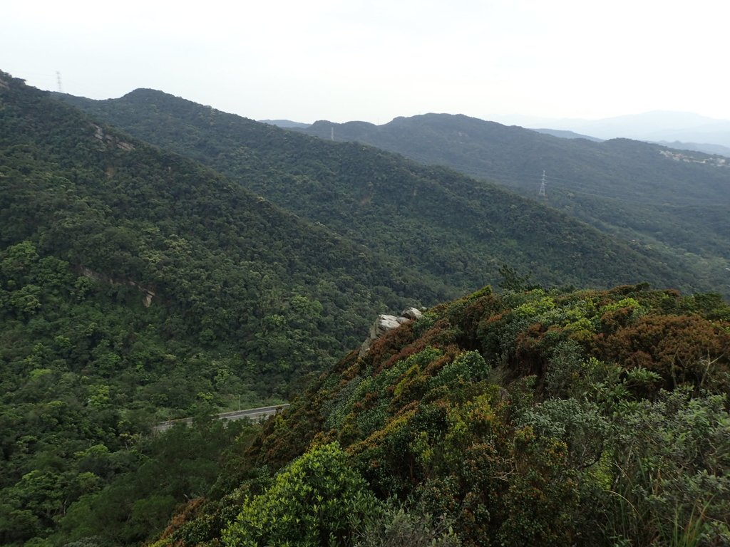 P3160148.JPG - 汐止  金面山(金明山)  稜線步道