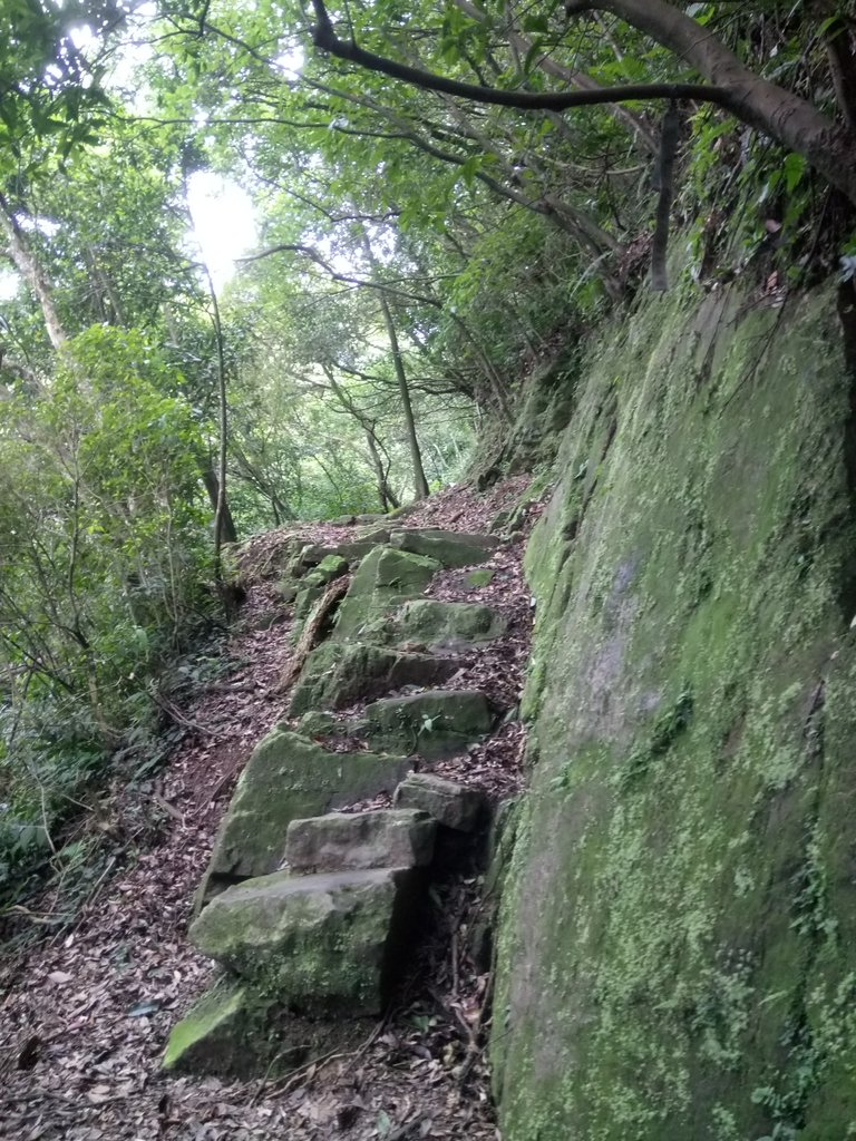 DSC_5367.JPG - 九份  小粗坑越嶺古道