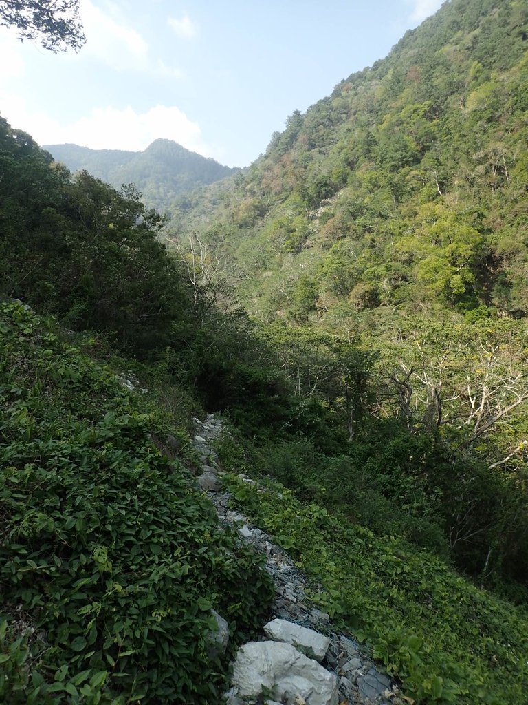 P3167357.JPG - 谷關七雄之  屋我尾山