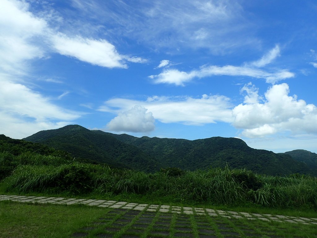 P7072296.JPG - 貢寮  蚊子坑古道  龍洞稜