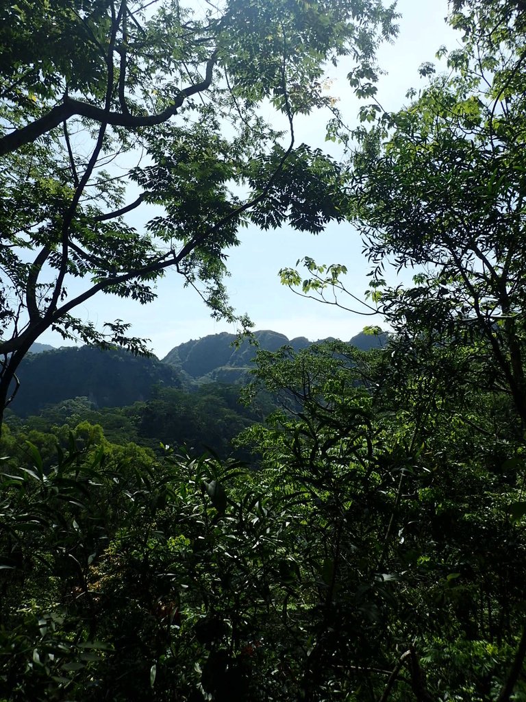 P4161406.JPG - 霧峰  青桐林生態園區