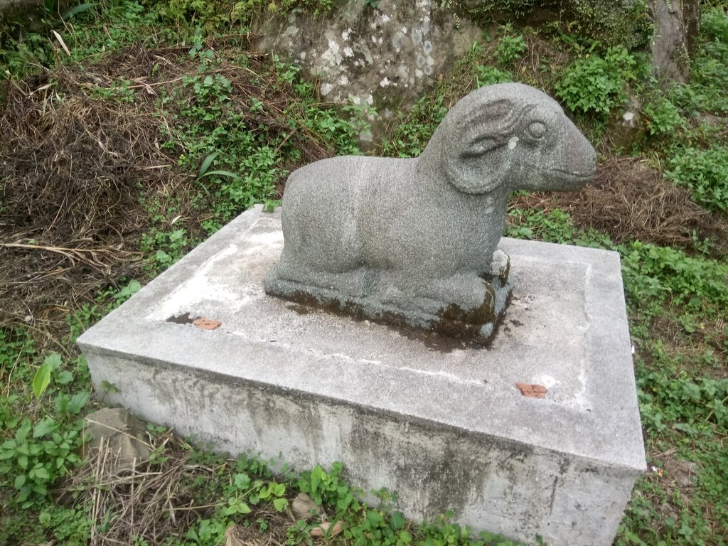 DSC_1062.JPG - 新竹  五指山登山步道