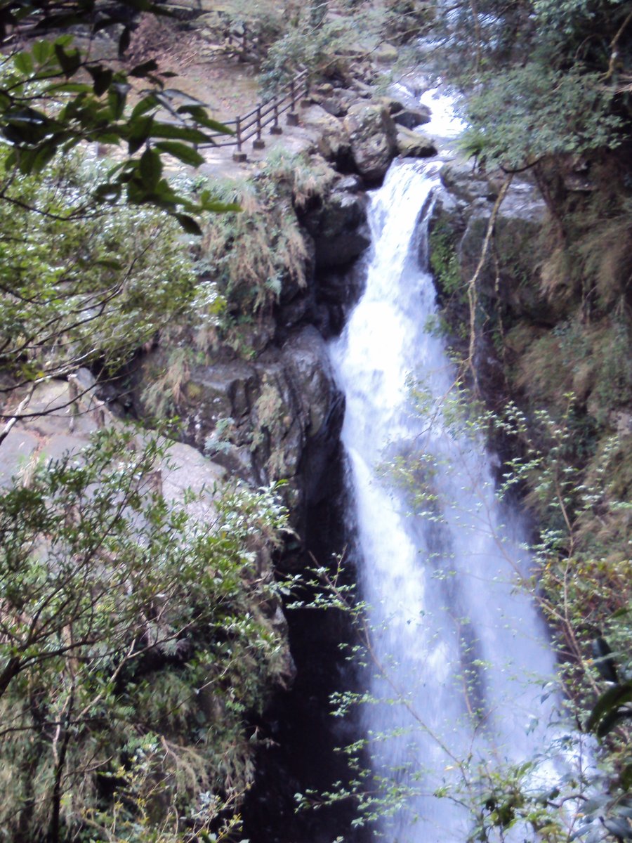 DSC04474.JPG - 三峽  滿月圓遊樂區