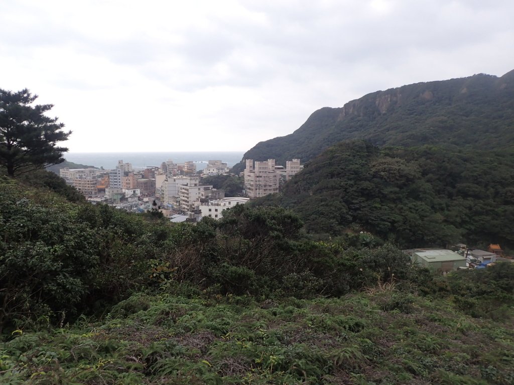 P1264005.JPG - 野柳  北八斗山稜線步道