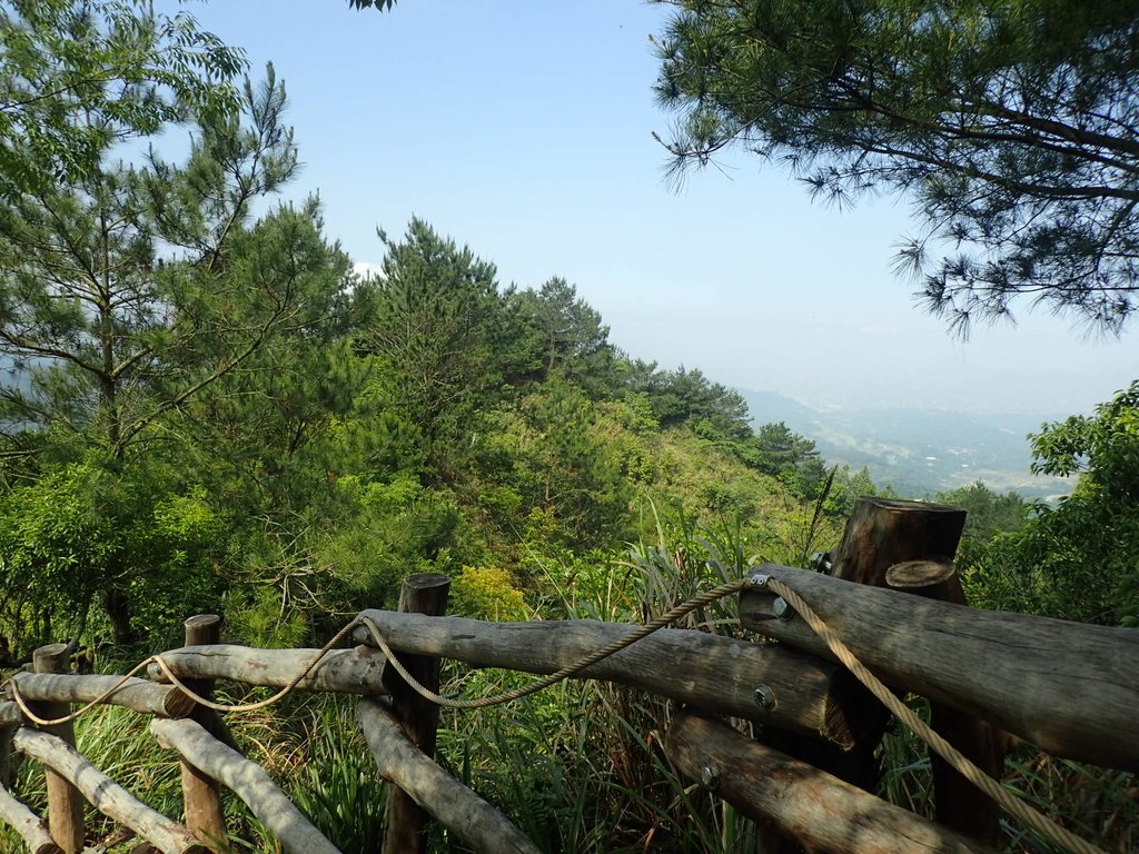 P5117151.JPG - 大坑四號步道  頭嵙山