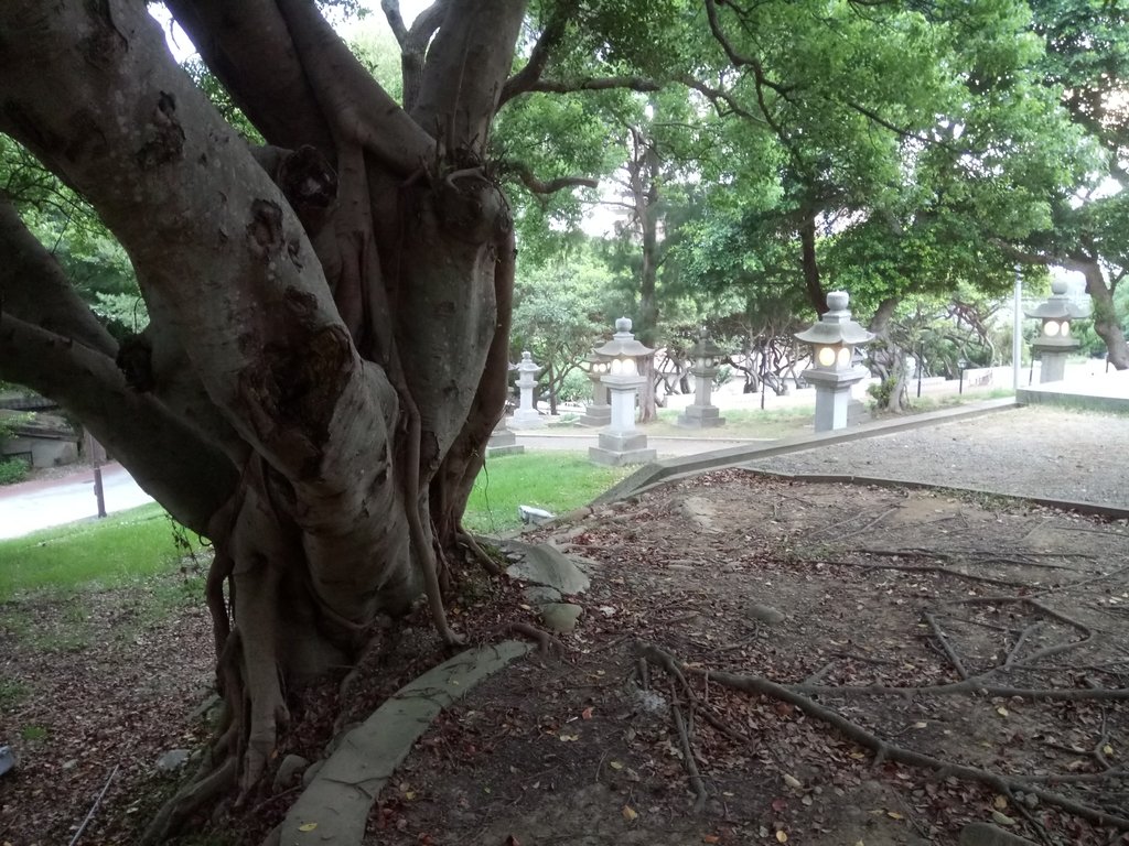 DSC_4450.JPG - 再訪  通宵神社