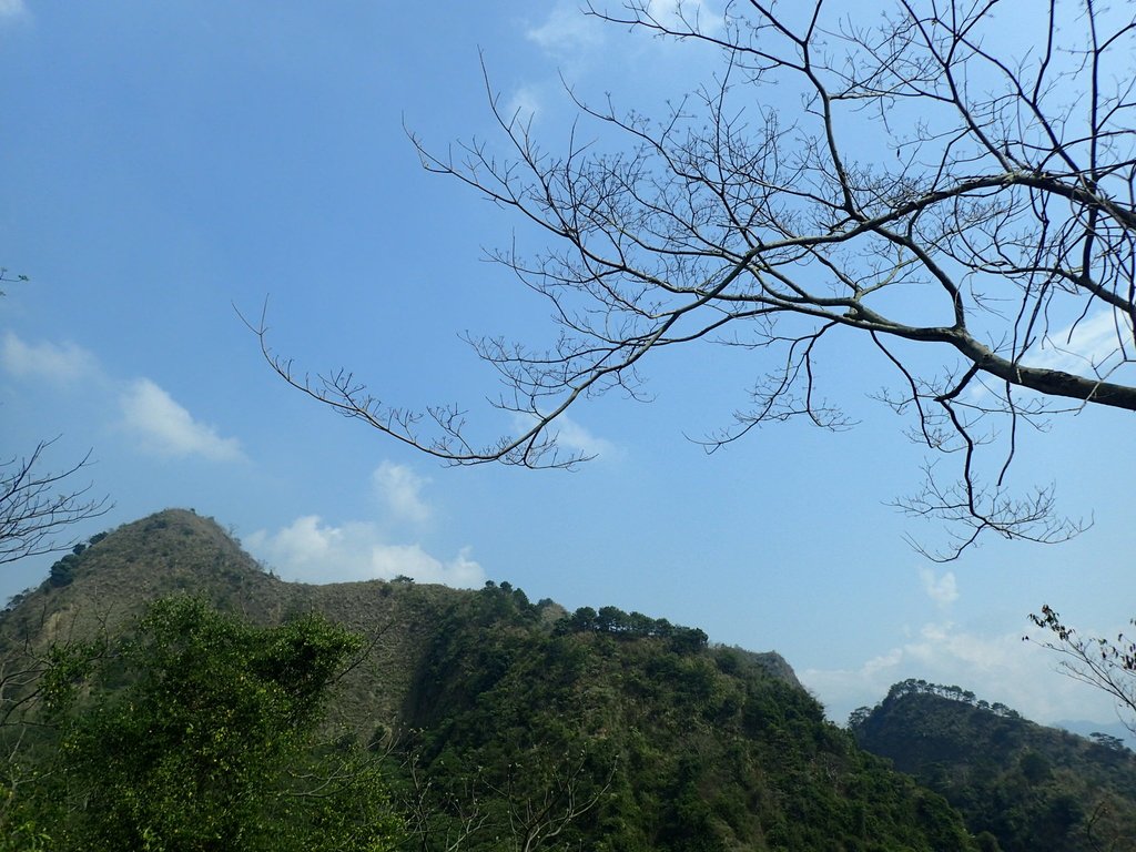 P3016050.JPG - 草屯平林  九九峰森林步道