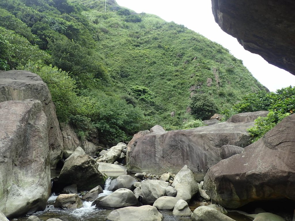 P8317601.JPG - 瑞芳  雷霆岩下之  溪谷風情