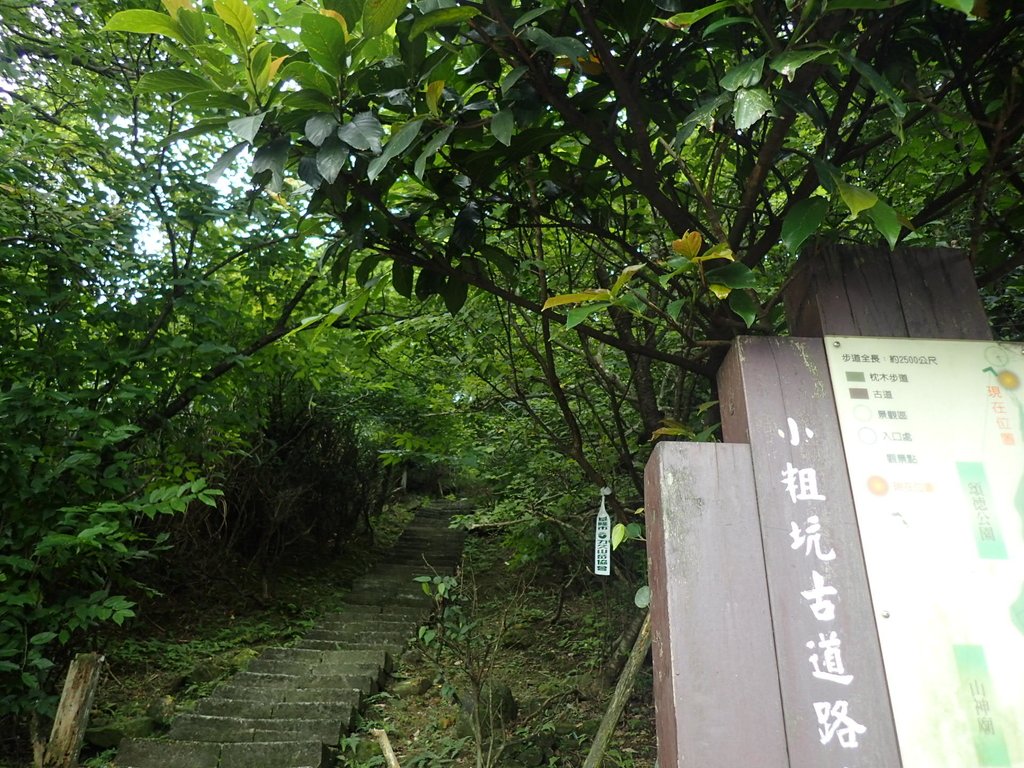 P7062096.JPG - 九份  小粗坑越嶺古道