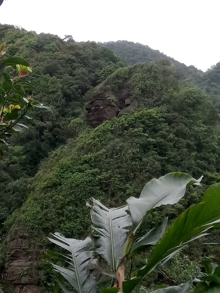 DSC_2043.JPG - 萬里  大路嶺古道行