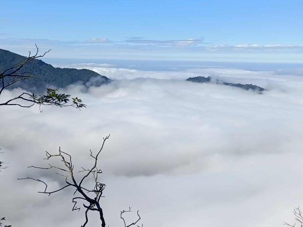 IMG20201205093513.jpg - 鹿谷  溪頭  南鳳凰山