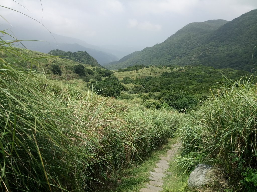 DSC_8649.JPG - 再訪  金包里大道  (魚路古道)