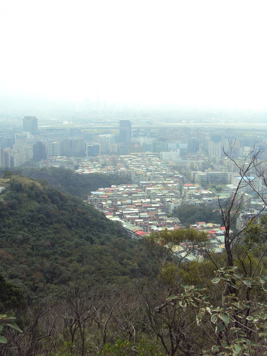 DSC06687.JPG - 內湖  金面山步道