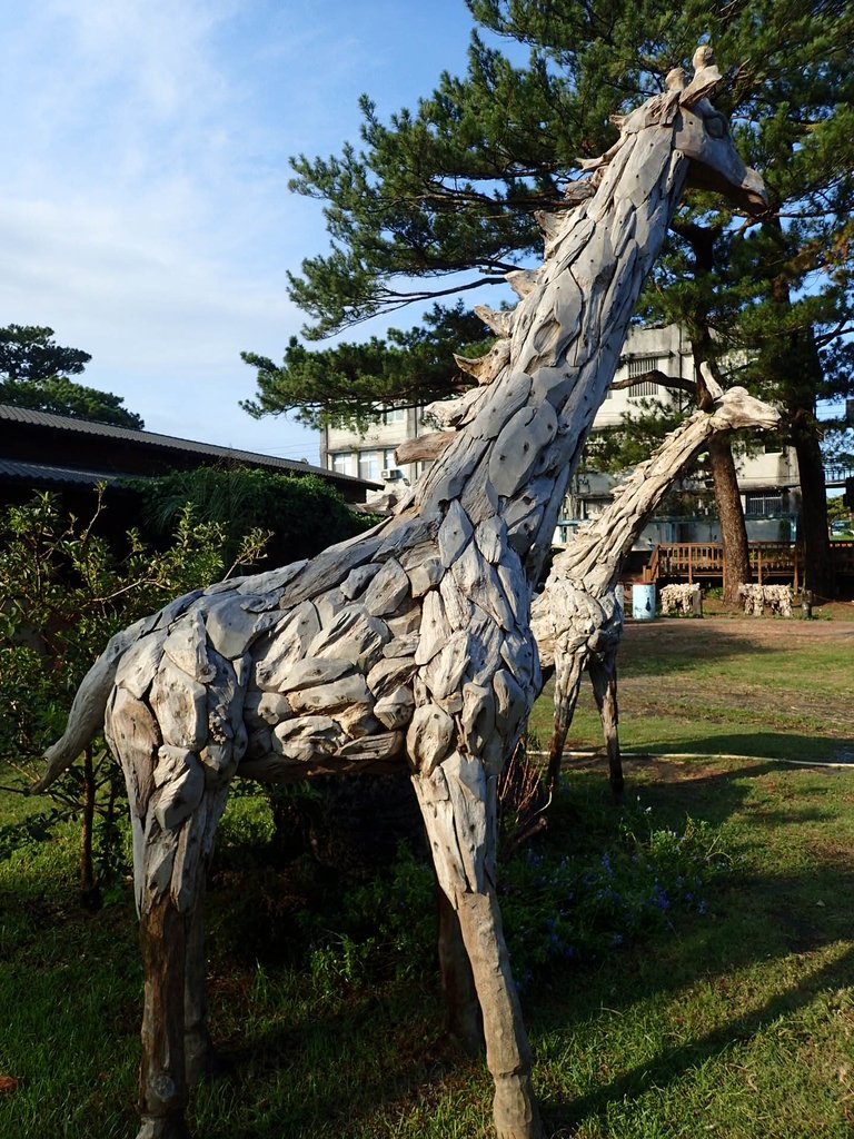 P8130737.JPG - 再訪  花蓮  松園別館