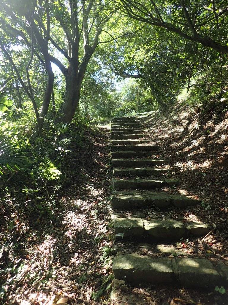 PB247163.JPG - 北投  中正山登山步道  02