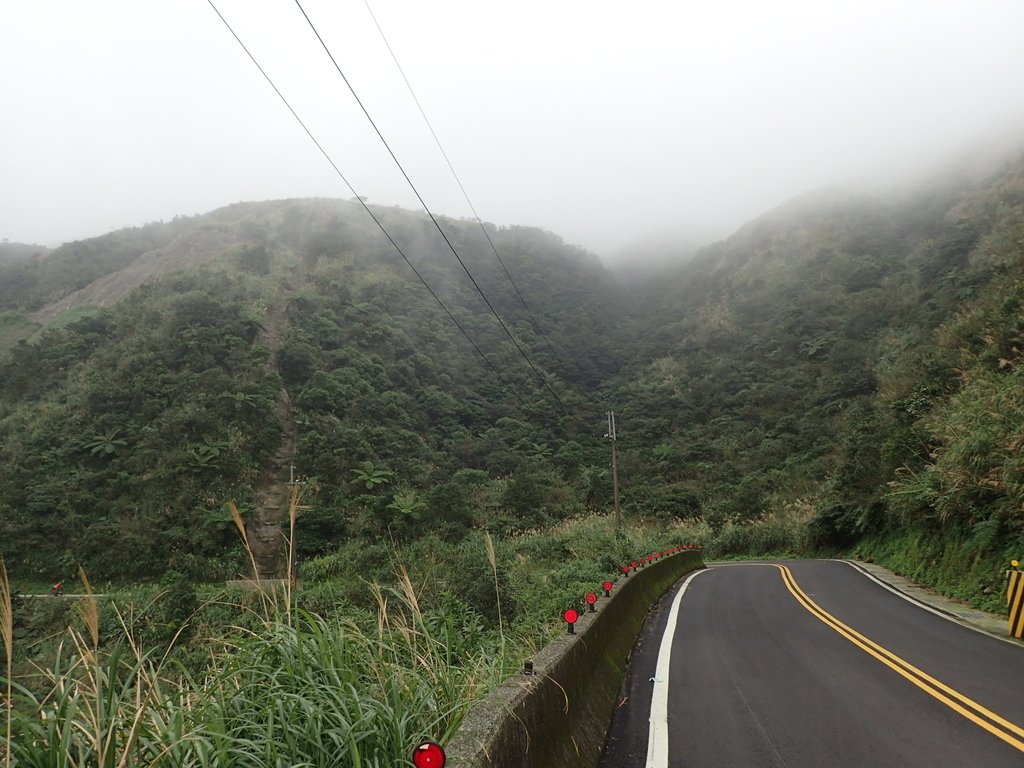 P1203540.JPG - 瑞芳  牡丹山