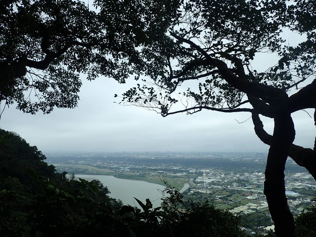 P2168033.JPG - 三峽  鳶山  (福德坑山)