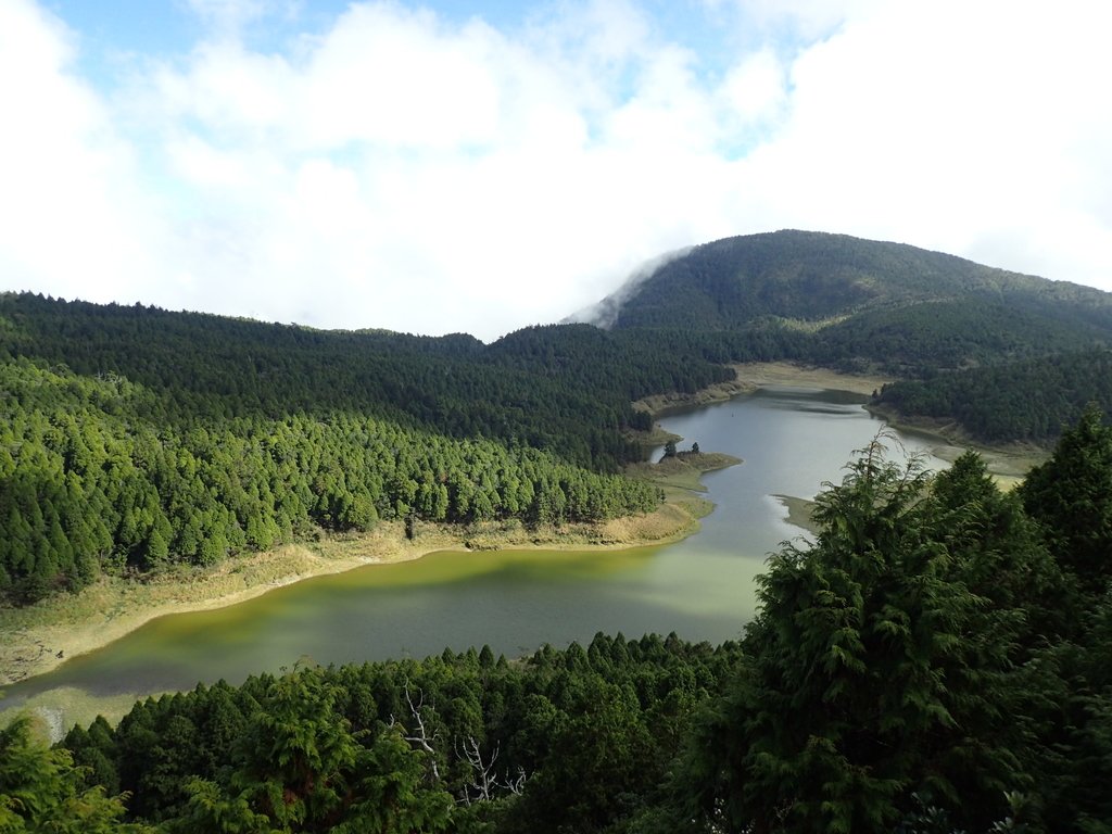 PB265484.JPG - 太平山  翠峰湖環山步道  02