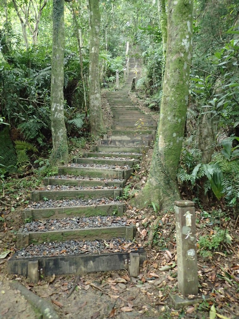 P3170373.JPG - 坪林  鬼子賴尖山